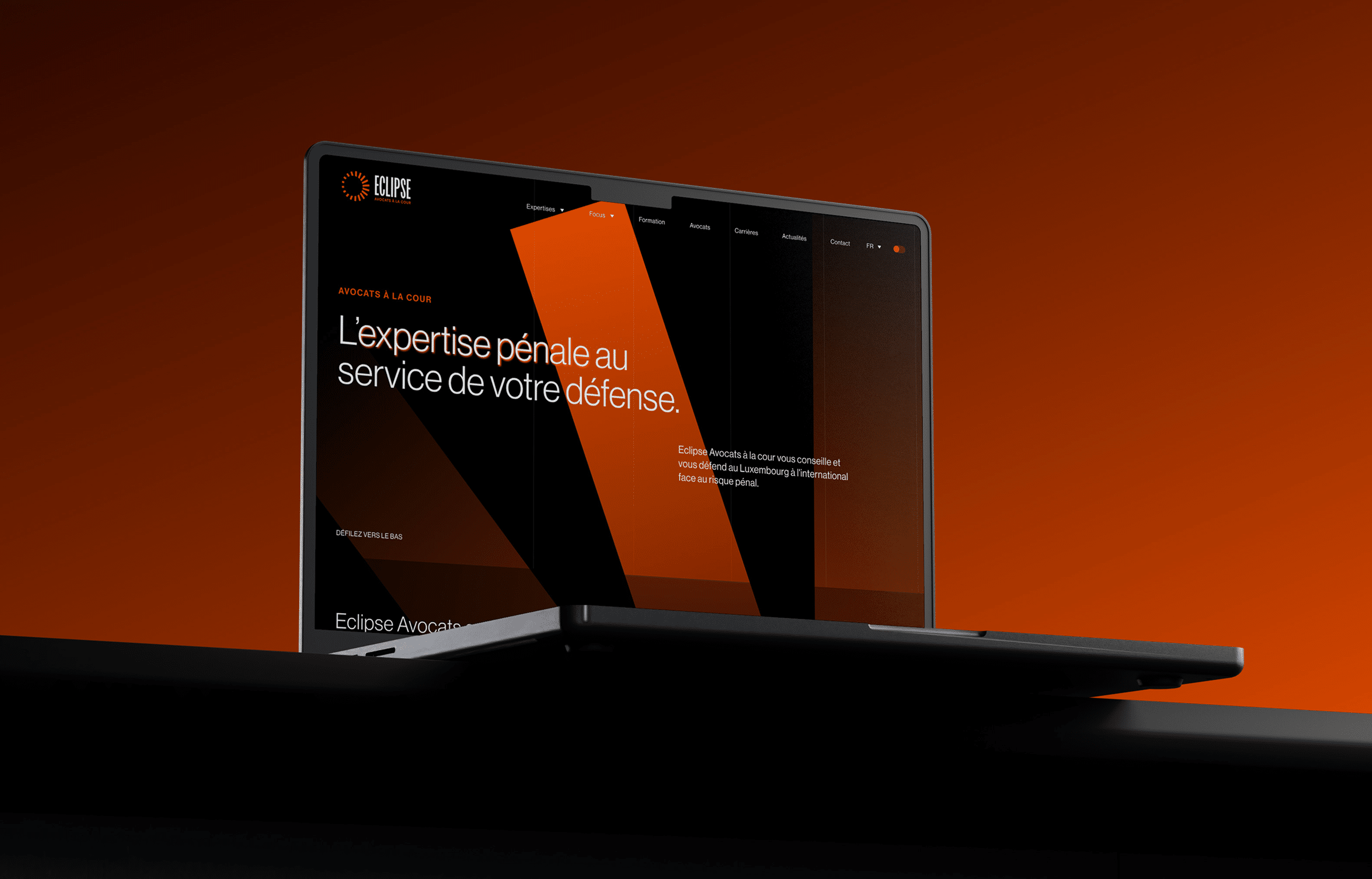 Company Website